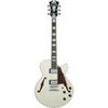 D'Angelico Guitars Premier SS 2018 15" Semi-Hollow Single Cutaway Electric Guitar with Stairstep Tailpiece, Rosewood Fingerboard, Ocean Turquoise Champagne