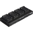 Dolgin Engineering Battery Charger: Picture 1 regular