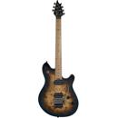 EVH : Picture 1 regular