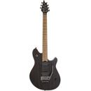EVH : Picture 1 regular
