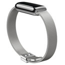 Fitbit Stainless Steel Mesh Band: Picture 1 regular