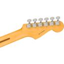 Fender American Pro II Strat: Picture 1 regular
