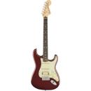 Fender American Performer Strat: Picture 1 regular