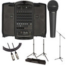 Fender Passport Venue: Picture 1 regular