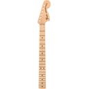 Fender Guitar Neck: Picture 1 regular