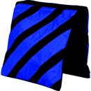FPSB