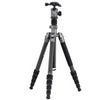 FotoPro Sherpa 5-Section Carbon Fiber Tripod/Monopod with FPH-42QS Ball Head, Gray Gray