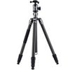FotoPro Sherpa Max 4-Section Carbon Fiber Tripod/Monopod with FPH-62QS Ball Head, Black Gray