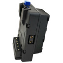 FX Lion NANOLNP: Picture 1 regular