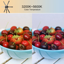 GVM 600S: Picture 1 regular