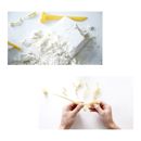 Hamilton Buhl Paleo Hunter: Picture 1 regular