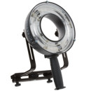 Hensel : Picture 1 regular