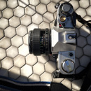 Hoya Alpha II: Picture 1 regular