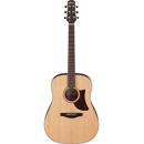 Ibanez AAD100: Picture 1 regular