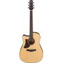 Ibanez AAD170LCE: Picture 1 regular