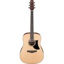 Ibanez AAD Advanced Acoustic: Picture 1 regular
