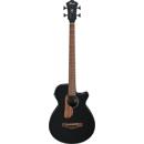 Ibanez AEG: Picture 1 regular