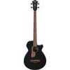 Ibanez AEG Series AEGB24E Acoustic Electric Bass Guitar, Black High Gloss Black High Gloss