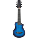 Ibanez AUP10FMNE: Picture 1 regular