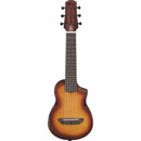 Ibanez AUP10N: Picture 1 regular