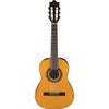 Ibanez Classical Series GA1 Acoustic Guitar with Spruce Top, Rosewood Fretboard, Amber High Gloss Amber