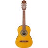 Ibanez Classical Series GA1 Acoustic Guitar with Spruce Top, Rosewood Fretboard, Amber High Gloss Open Pore Amber