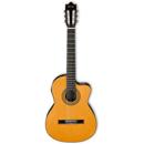 Ibanez Classical Series: Picture 1 regular