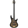 Ibanez SR Gio Series GSR205PC 5-String Electric Bass Guitar, Transparent Pale Black Burst Transparent Pale Black Burst