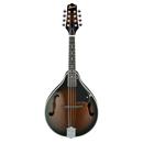 Ibanez M510: Picture 1 regular