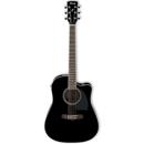 Ibanez PF15ECE: Picture 1 regular