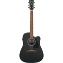 Ibanez PF54CE: Picture 1 regular