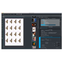 Canon IMAGEPRINT R.E.D.: Picture 1 regular