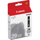 Canon PGI-29: Picture 1 regular