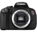 Canon T4i: Picture 1 regular