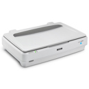 Epson Expression 13000XL: Picture 1 regular