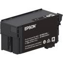 Epson : Picture 1 regular