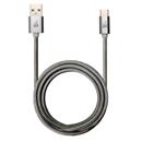 Iogear : Picture 1 regular