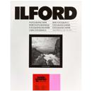 Ilford : Picture 1 regular