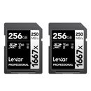 Lexar SILVER Professional 1667x: Picture 1 regular
