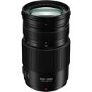Panasonic 100-300mm II: Picture 1 regular