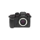 Panasonic DC-GH5s: Picture 1 regular