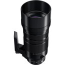 Panasonic 100-400mm: Picture 1 regular