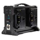 Indipro Battery Charger: Picture 1 regular