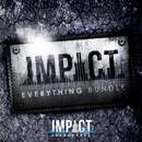 Impact Soundworks Everything: Picture 1 regular