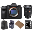 Sony Alpha 1: Picture 1 regular