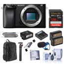 Sony a6100: Picture 1 regular