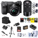 Sony a6100 Deluxe Kit: Picture 1 regular