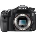 Sony a77 MARK II: Picture 1 regular