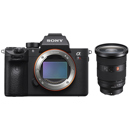 Sony a7R IV (V2): Picture 1 regular
