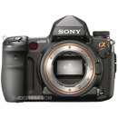 Sony DSLR-A900: Picture 1 regular